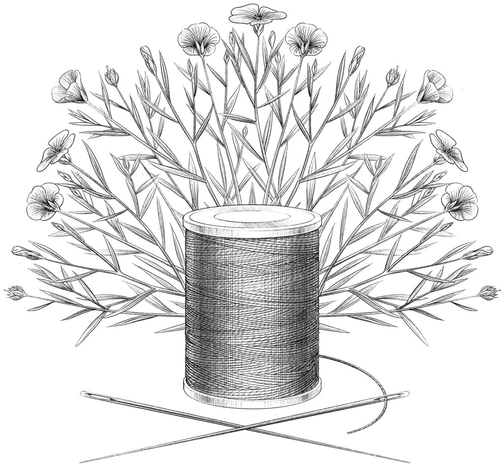 Illustration "Linen Thread"