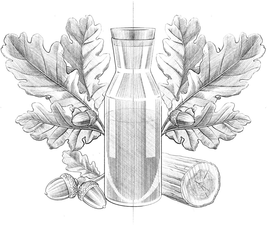 Illustration "Vegetable tanning"