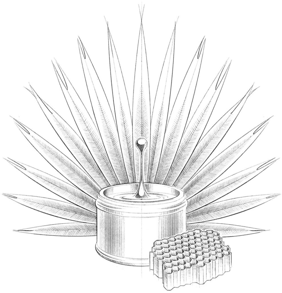 Illustration "Waxes and oils"