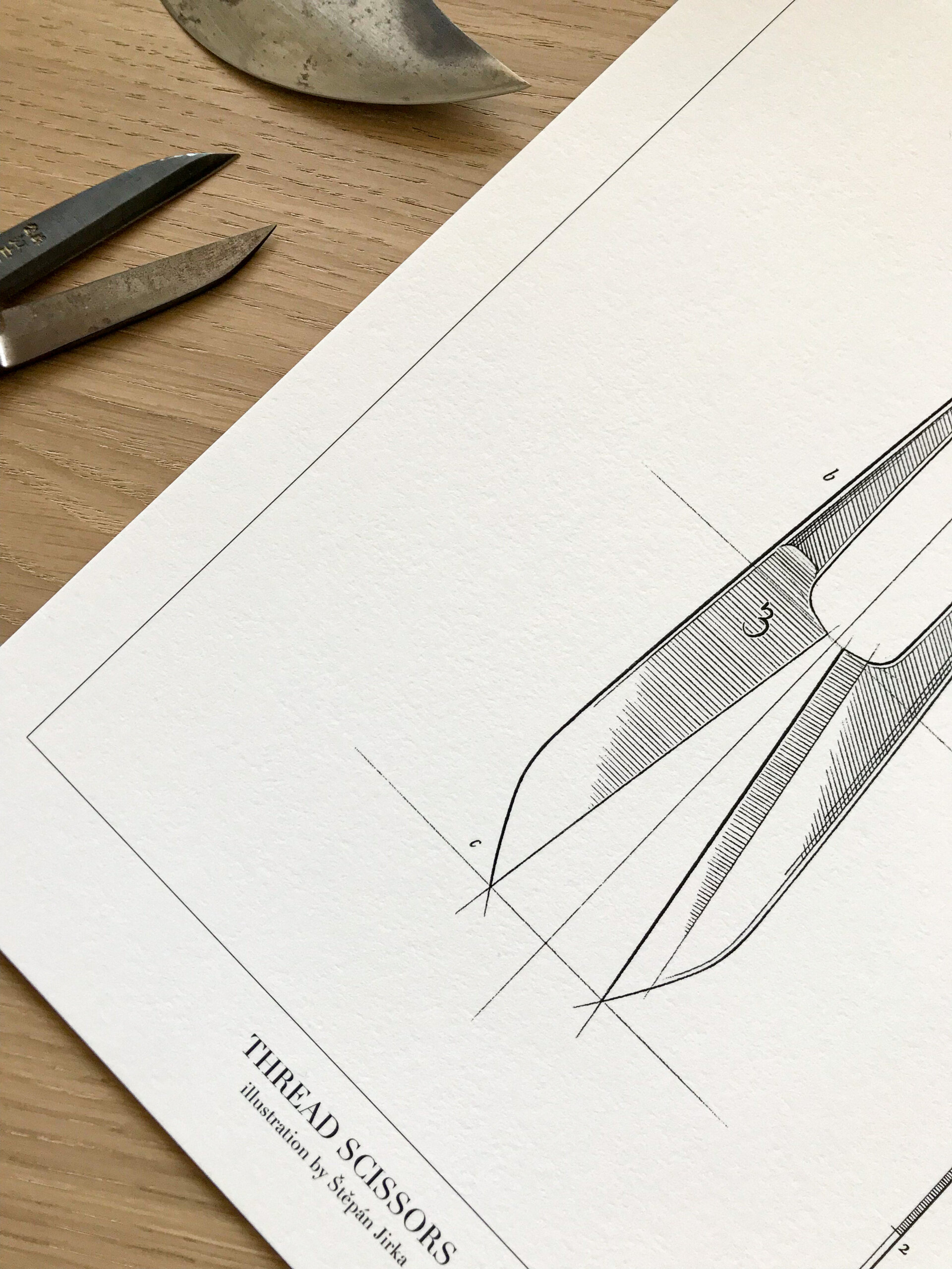 Thread Scissors - Poster A4 - Detail