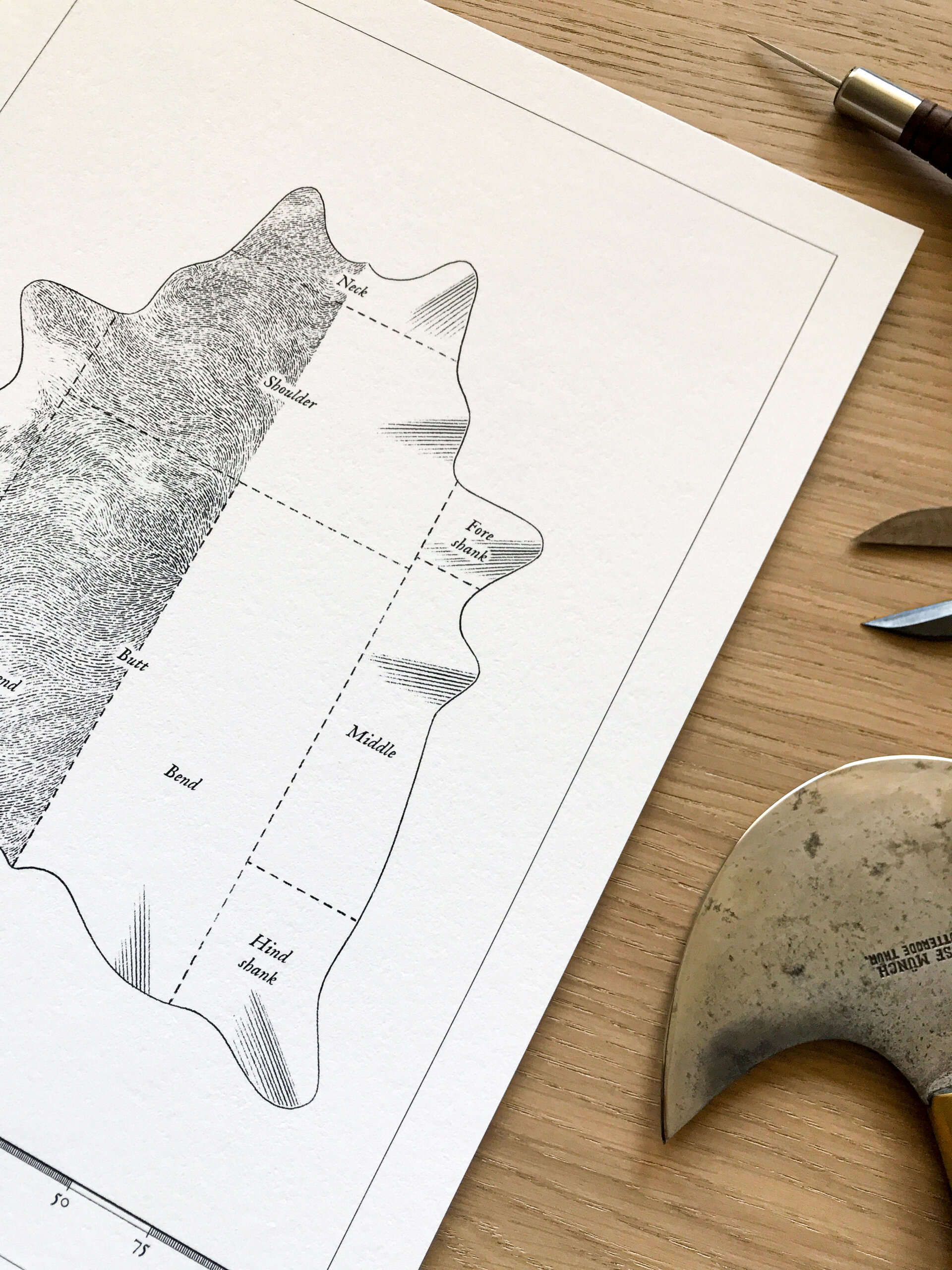 Poster: Cowhide Leather Cuts - Image 4