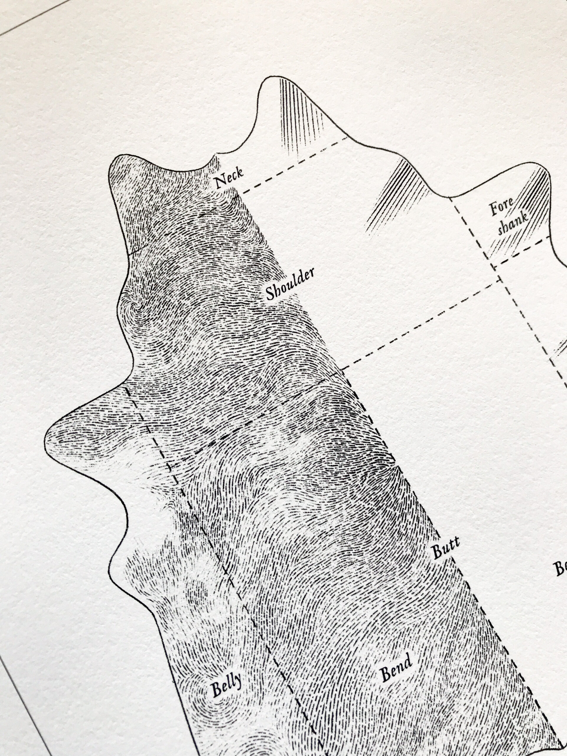 Poster: Cowhide Leather Cuts - Image 5