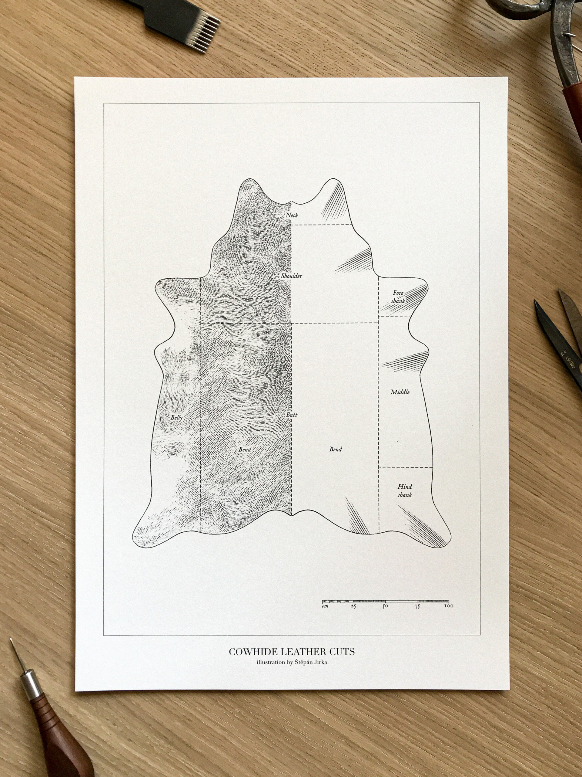 Poster: Cowhide Leather Cuts - Image 3